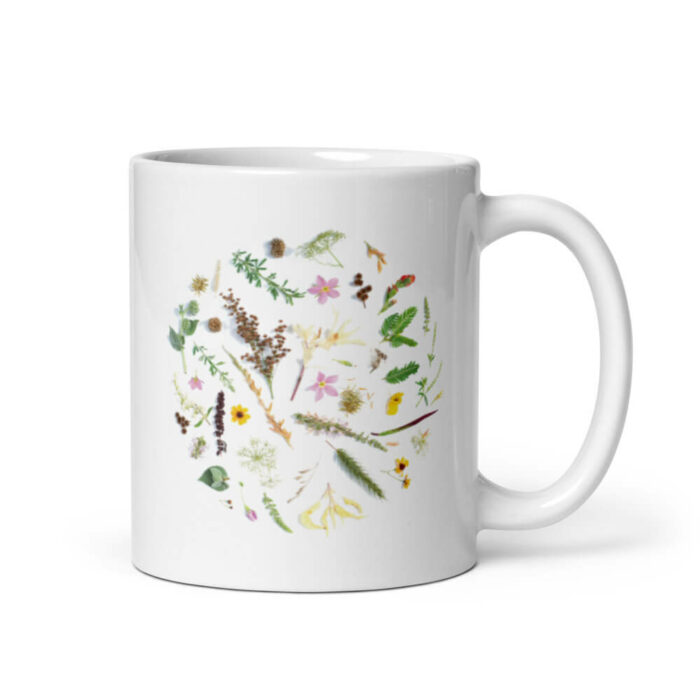 Cốc sứ hình các loại hoa lá đơn giản Cốc sứ hình các loại hoa lá đơn giản