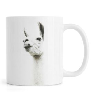 Ly sứ  hình Llama I