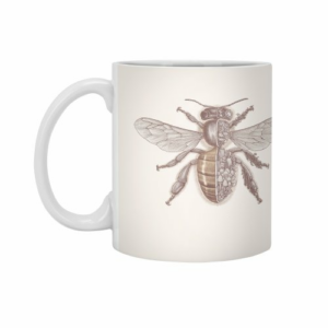 Ly sứ  hình Bee anatomy