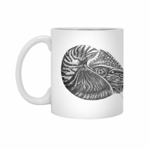 Ly sứ  hình Nautilus fish